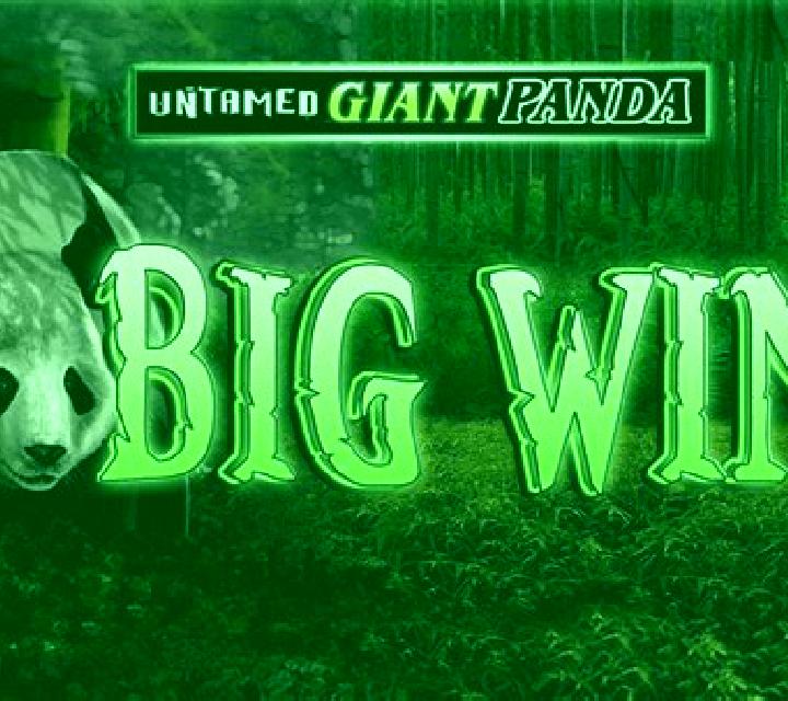 Giant Panda slot game
