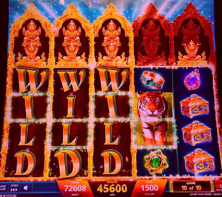 Ginger Wins: Wild Jungle slot machine
