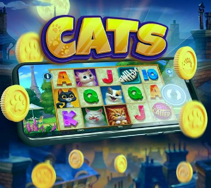 Giovanni s Cat slot game