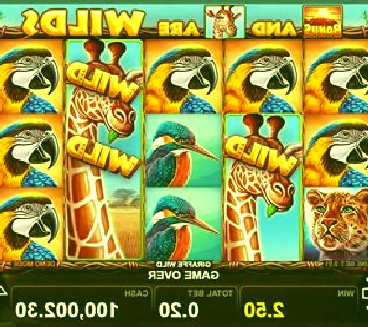 Giraffe Wild slot