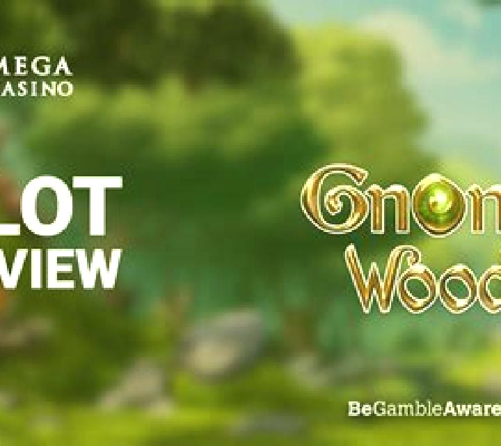 Gnome Wood slot