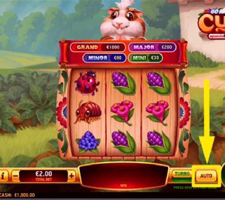 Go High Cuy Apuesta Total slot