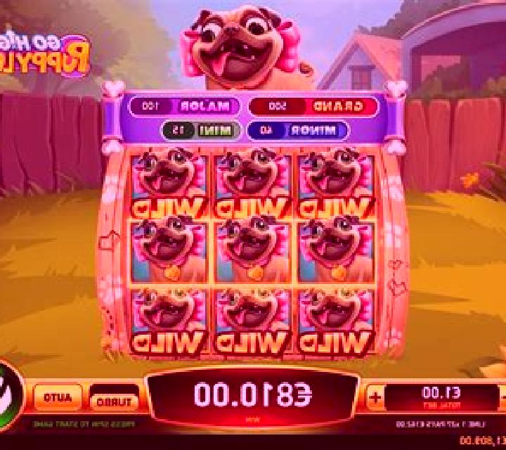 Go High Puppy Love slot game