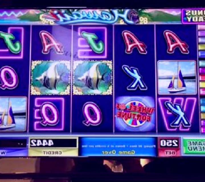 Going Wild in Hawaii slot machine