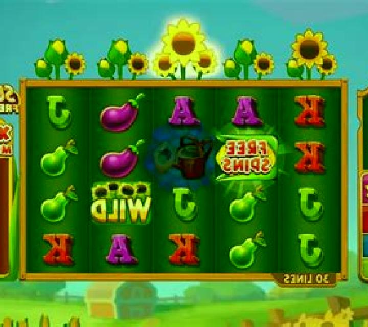 Golden Fields online slot