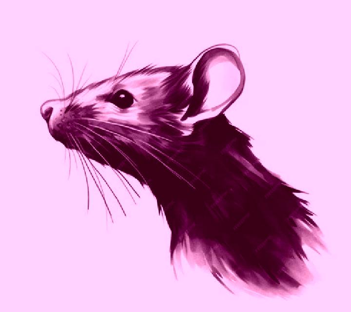 Golden Ink Rat online slot