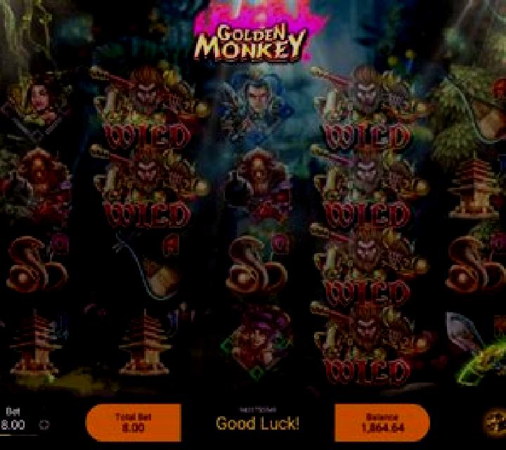 Golden Monkey (Spadegaming) slot