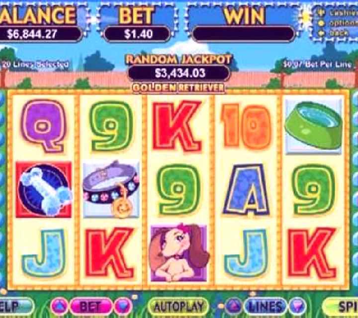 Golden Retriever slot game