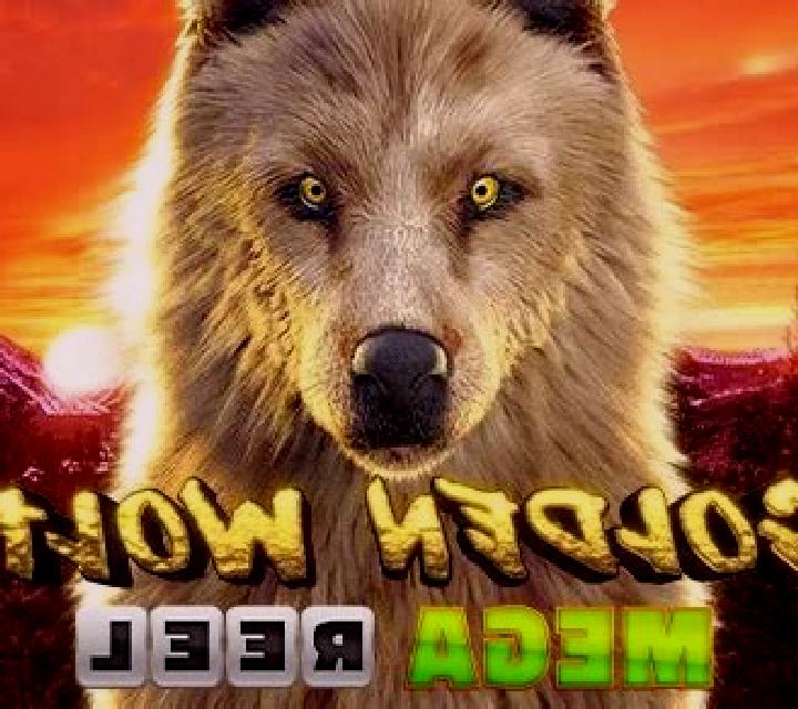 Golden Wolf Mega Reel slot game