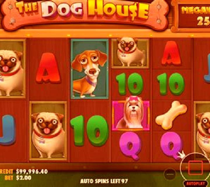 Gone to the Dogs slot machine