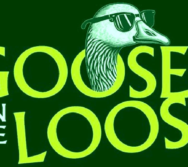 Goose on the loose slot
