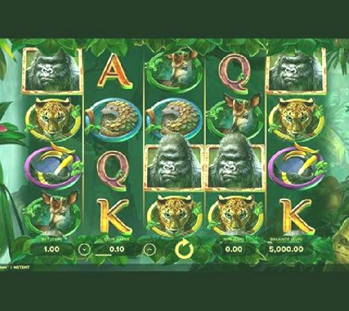 Gorilla Kingdom online slot