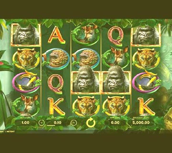 Gorilla Kingdom slot machine