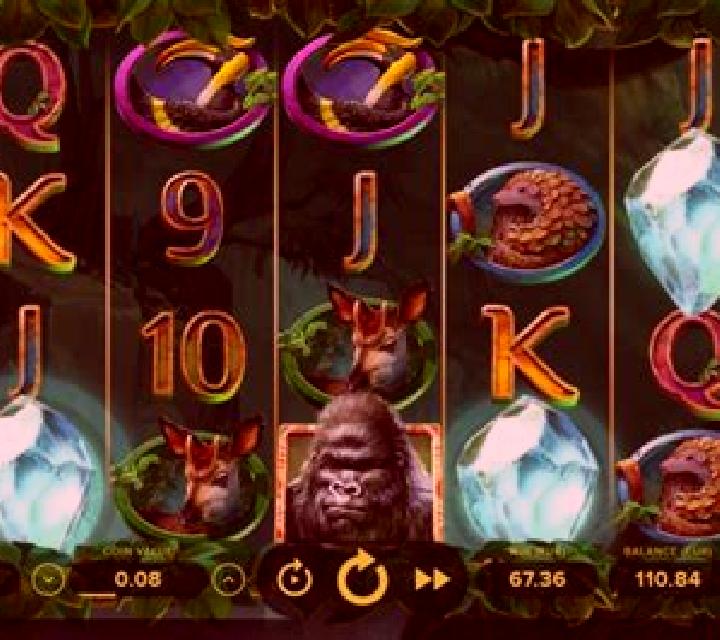 Gorilla Kingdom slot