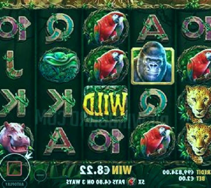 Gorilla Mayhem slot