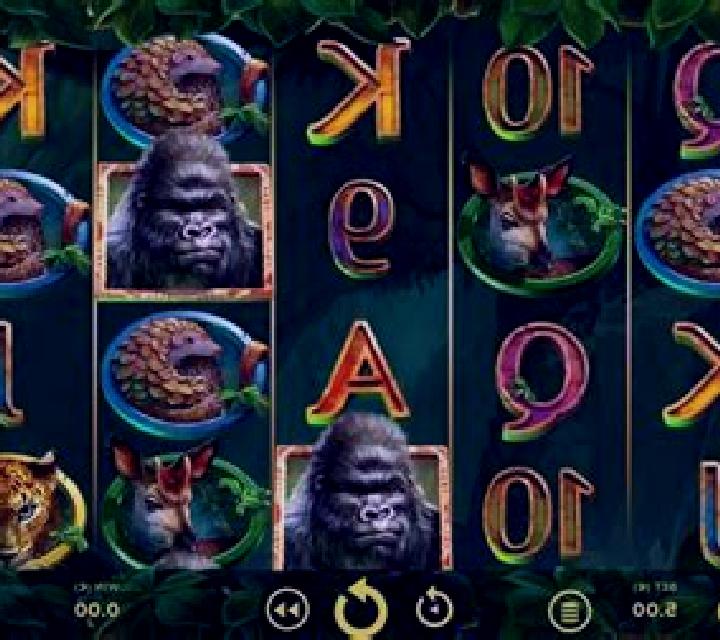 Gorilla Rush slot