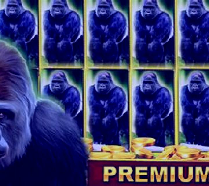 Gorilla slot game