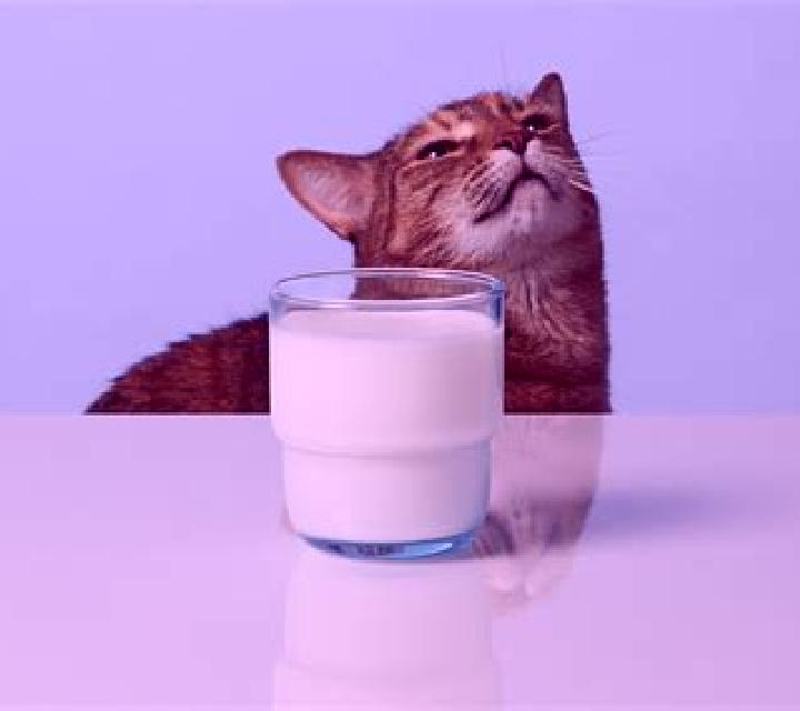 Got Milk online slot