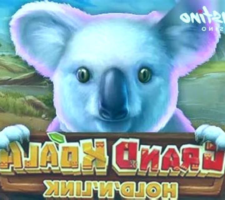 Grand Koala slot