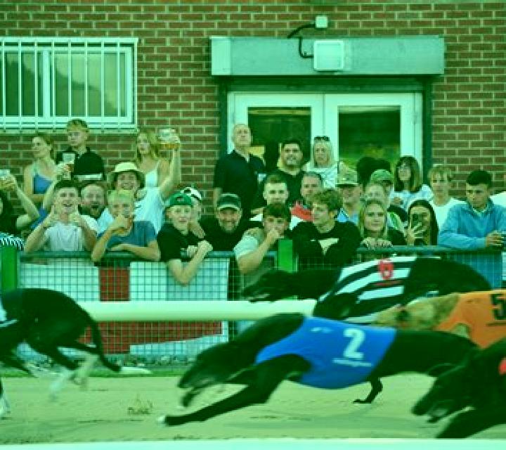 Greyhound Races slot game