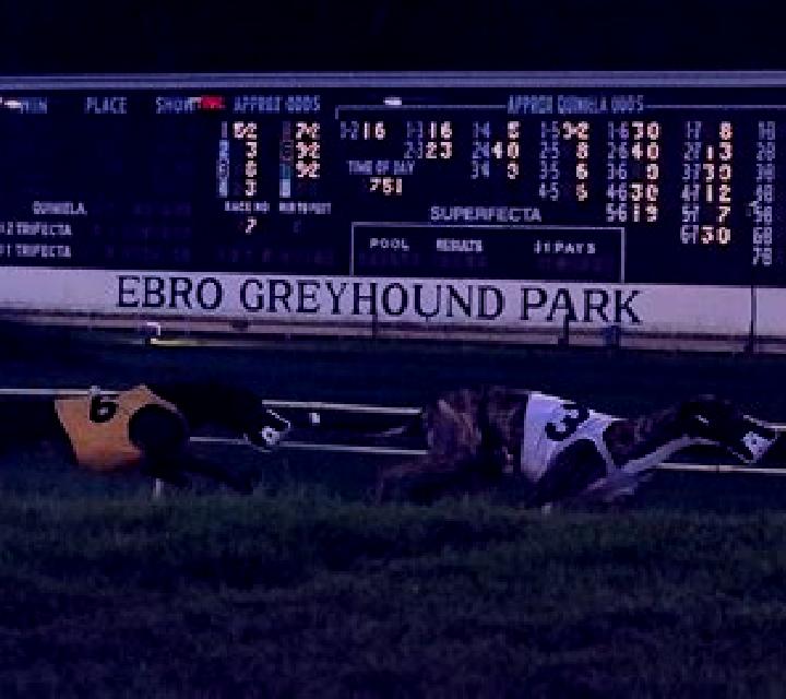 Greyhound Racing (Atlas-V) slot game