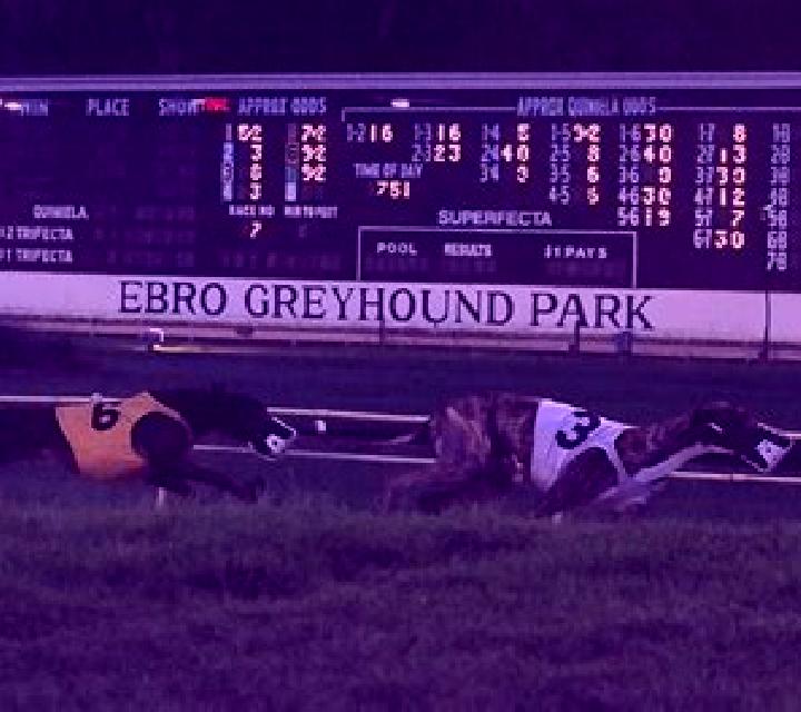 Greyhound Racing (Atlas-V) slot machine