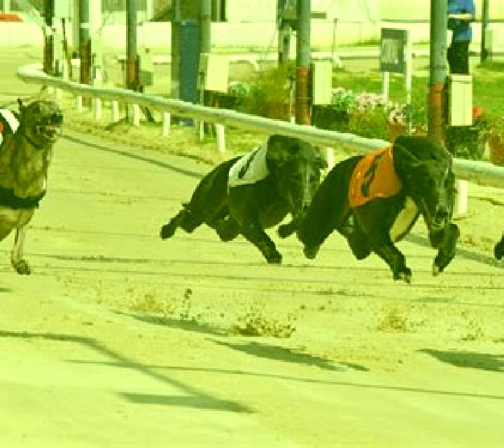Greyhound Racing (Atlas-V) slot