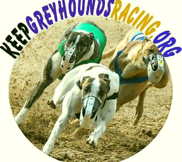 Greyhounds Streak online slot