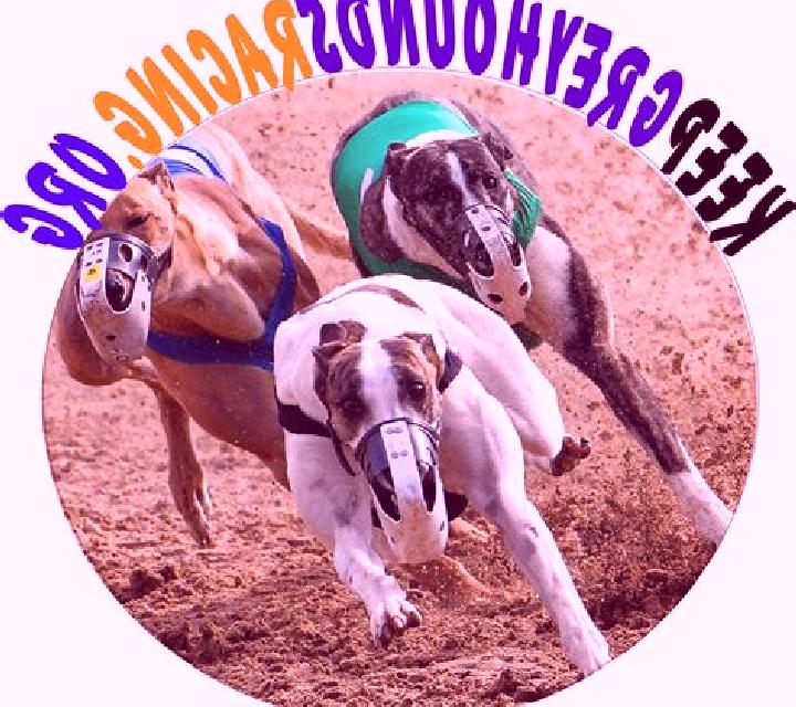 Greyhounds Streak slot
