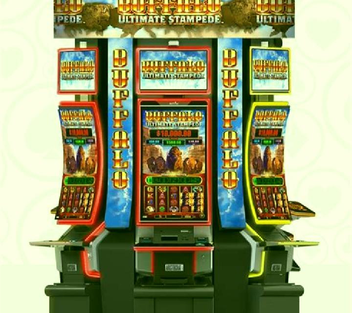 Grizzly Stampede slot machine