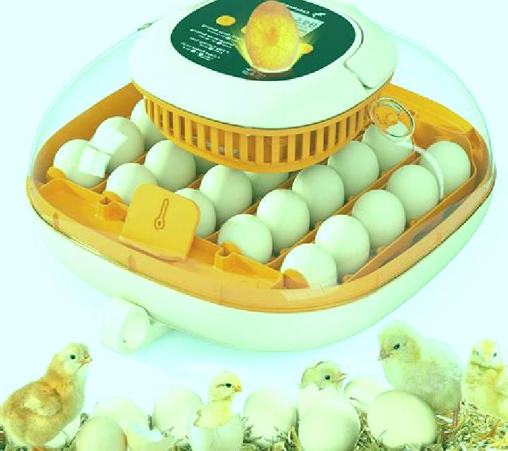 Happy Hatching slot game