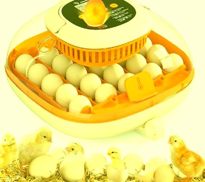 Happy Hatching slot machine