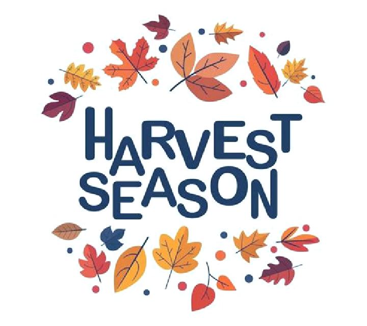 Harvest Season slot