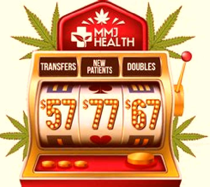 Health Lottery online slot
