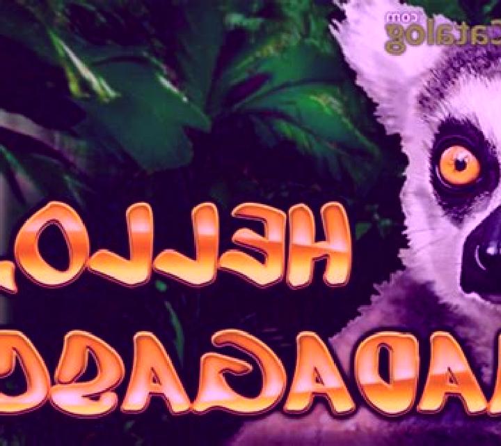 Hello, Madagascar! slot game