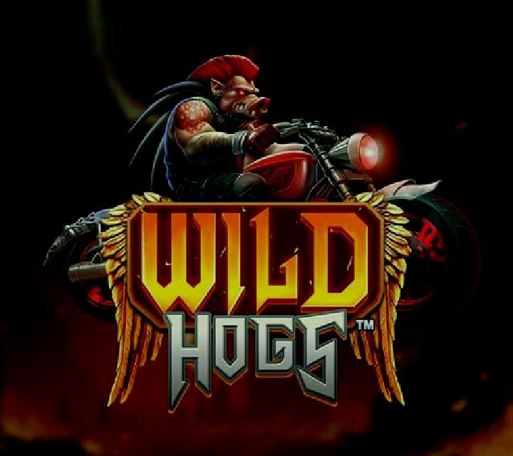 Hell s Hogs slot game