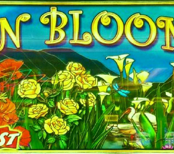 Hex Bloom slot machine