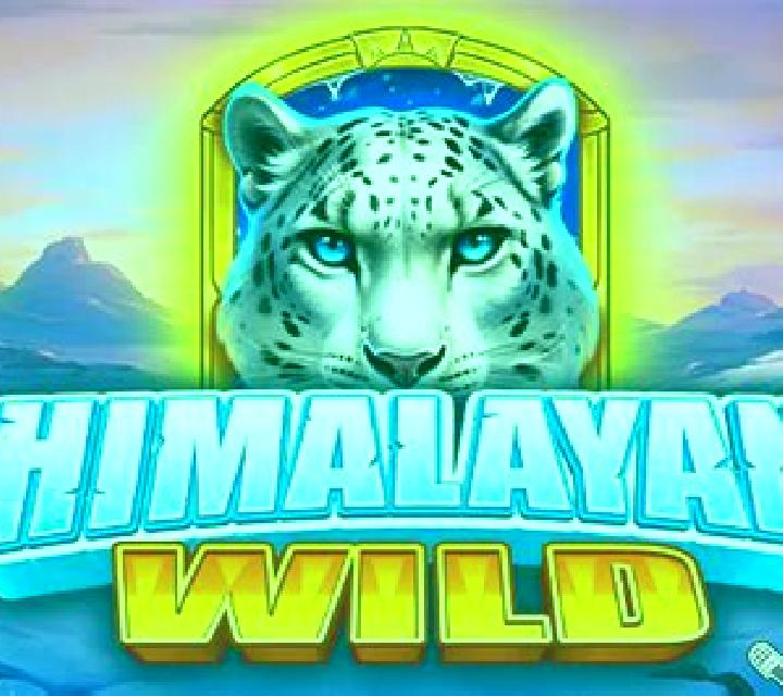 Himalayan Wild slot machine