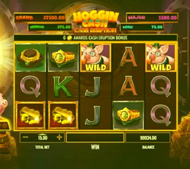 Hoggin Gold slot