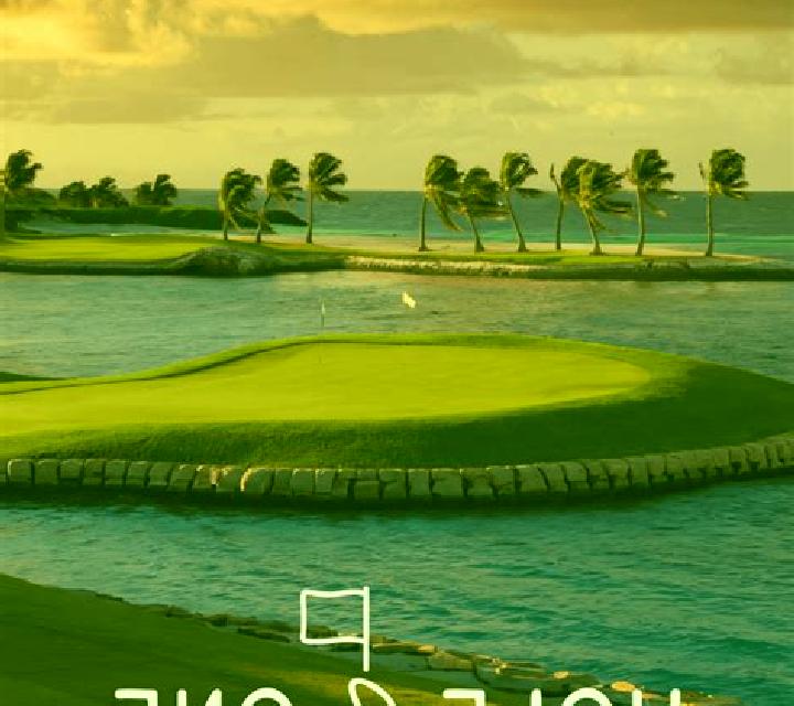 Hole in One (Others) online slot