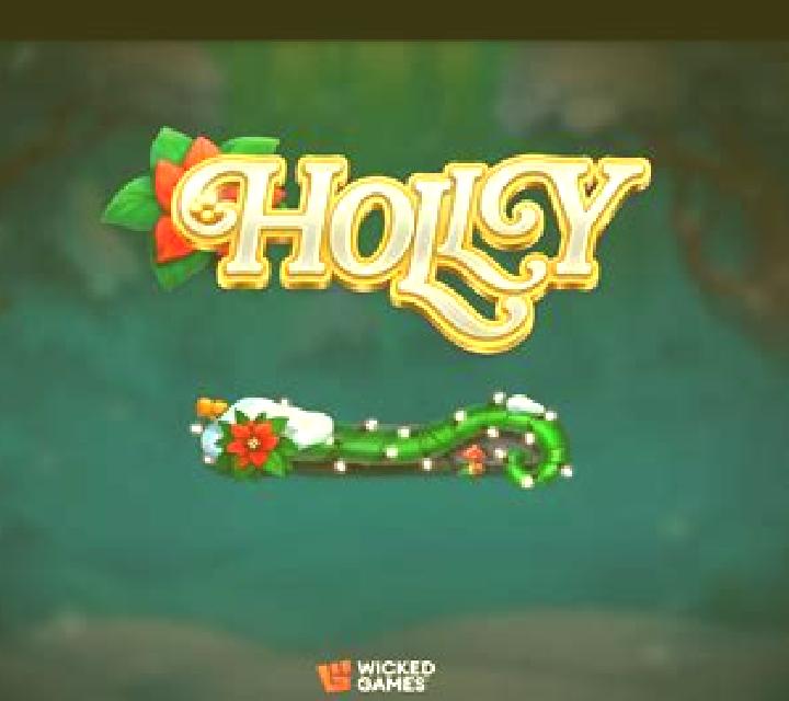 Holly Molly Hole slot game
