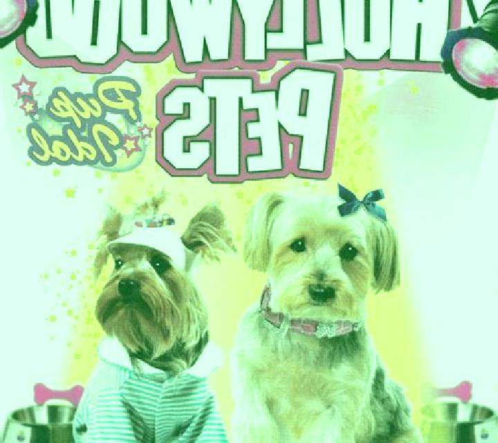 Hollywood Pets slot game
