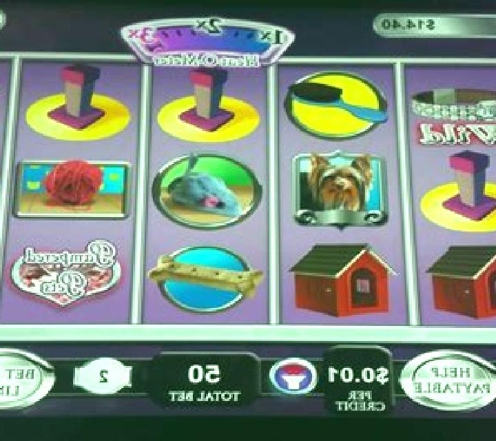 Hollywood Pets slot machine