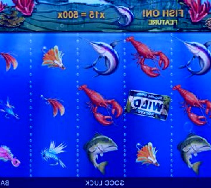 Hooked slot game