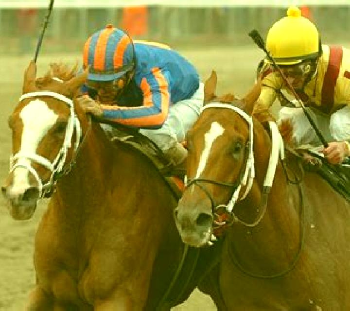 Horse Race Riches slot