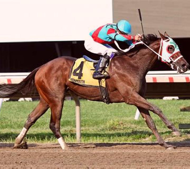 Horses Streak slot