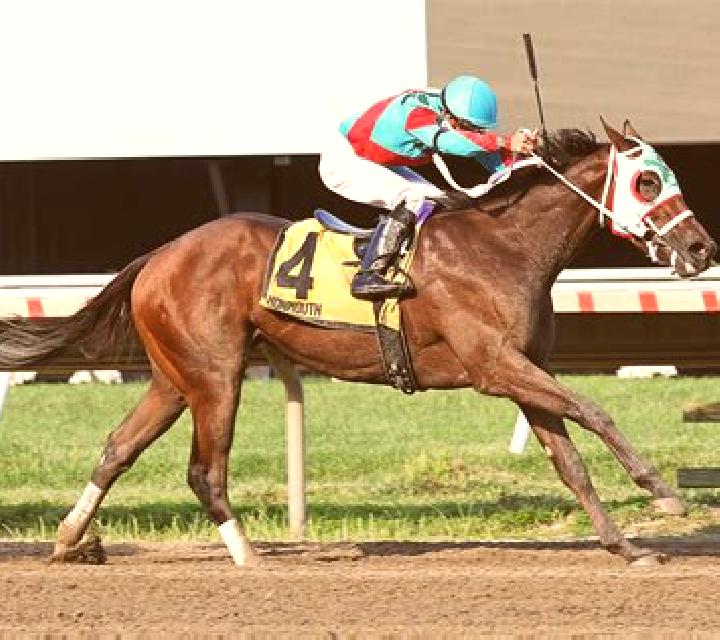 Horses Streak - The Jumps slot