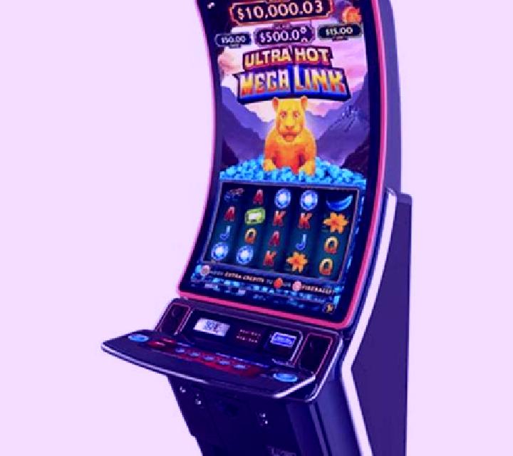 Hot Wikiki slot machine