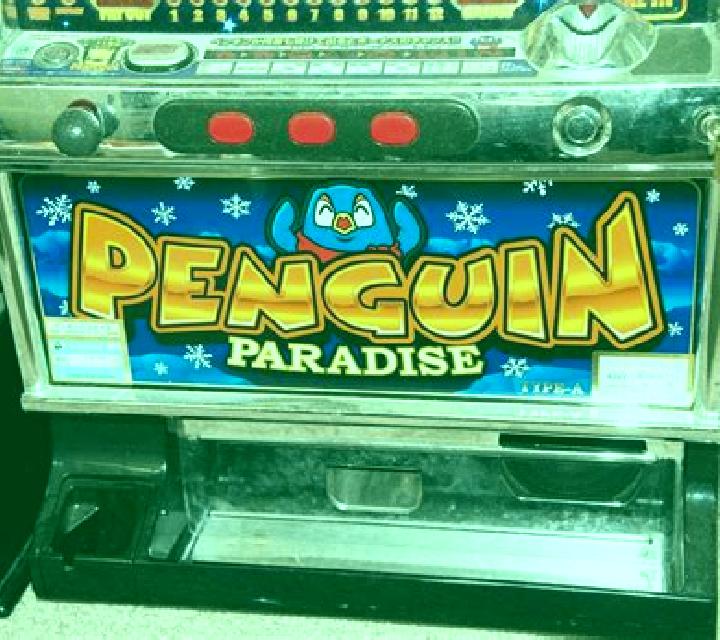 Hottie s Paradise slot machine