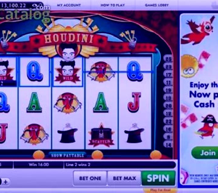 Houdini (Roxor Gaming) slot